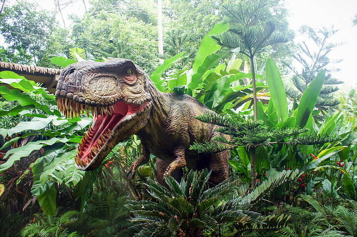 singapore zoo singapore zoo rassic park zoo dinosaur preview